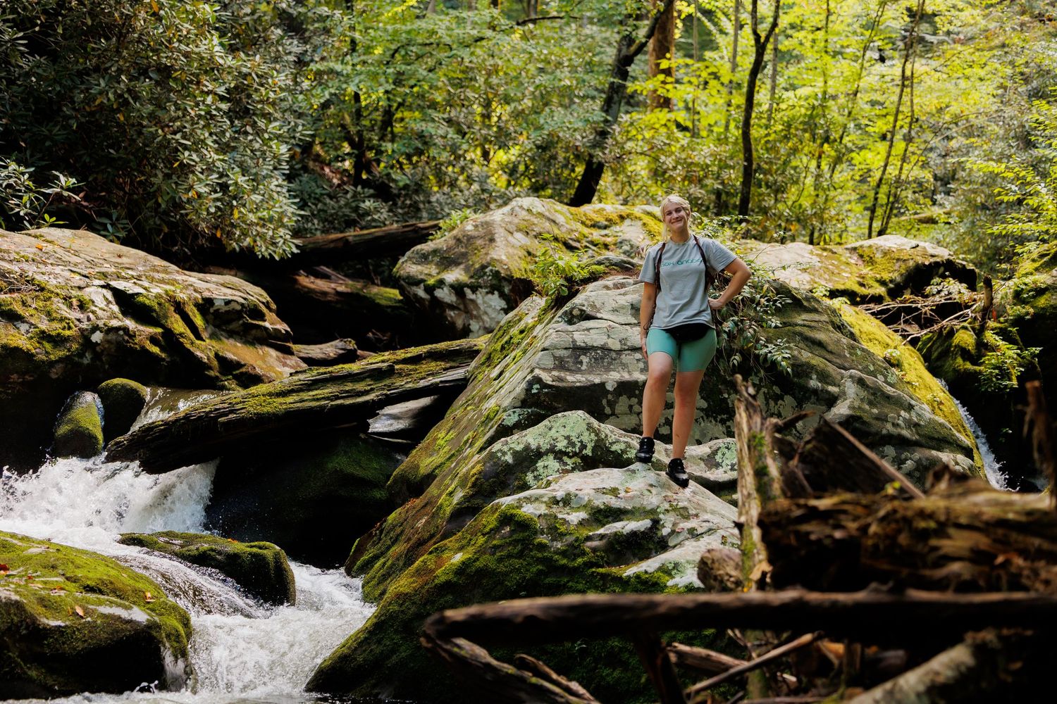 A cascading mountain stream flows through mossy rocks and fallen logs in a lush forest setting.