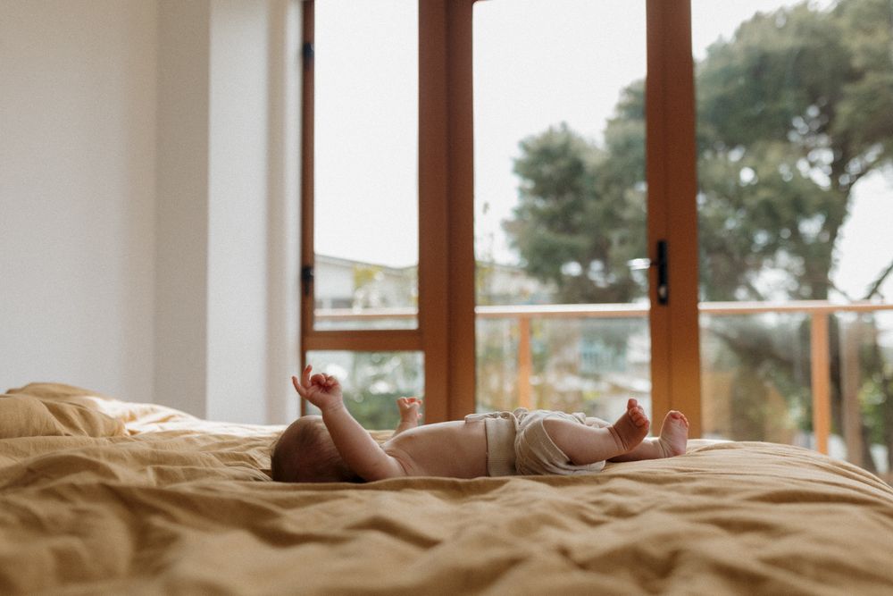 Sunlight illuminates a serene bedroom scene with wooden-framed windows overlooking trees.