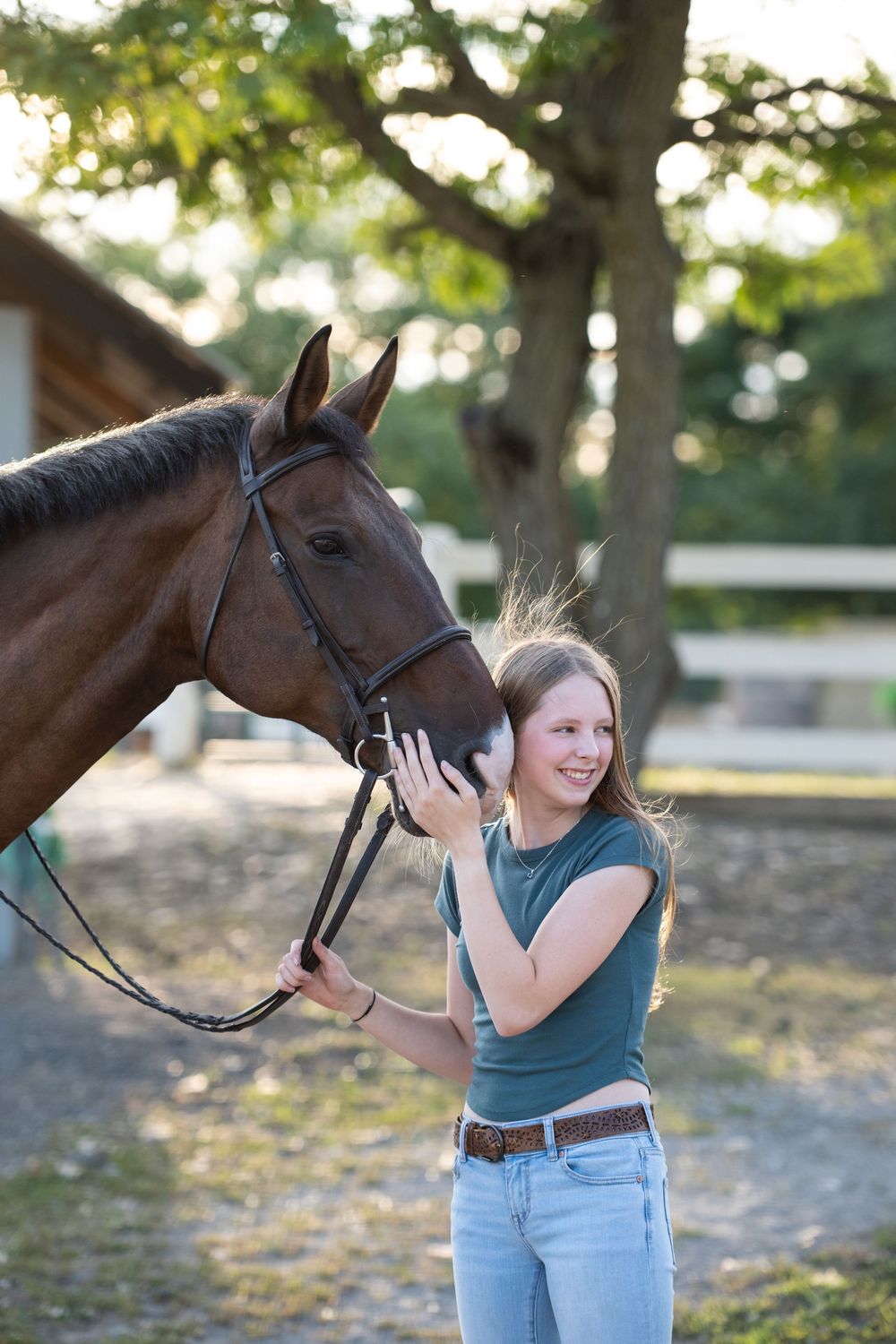 Four sequential photos show a woman in a blue top and jeans petting and bonding with a dark brown horse outdoors.