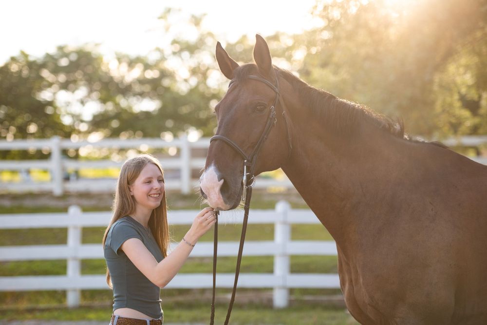 A beautiful brown horse and handler stand together at sunset by a white fence on a peaceful farm.