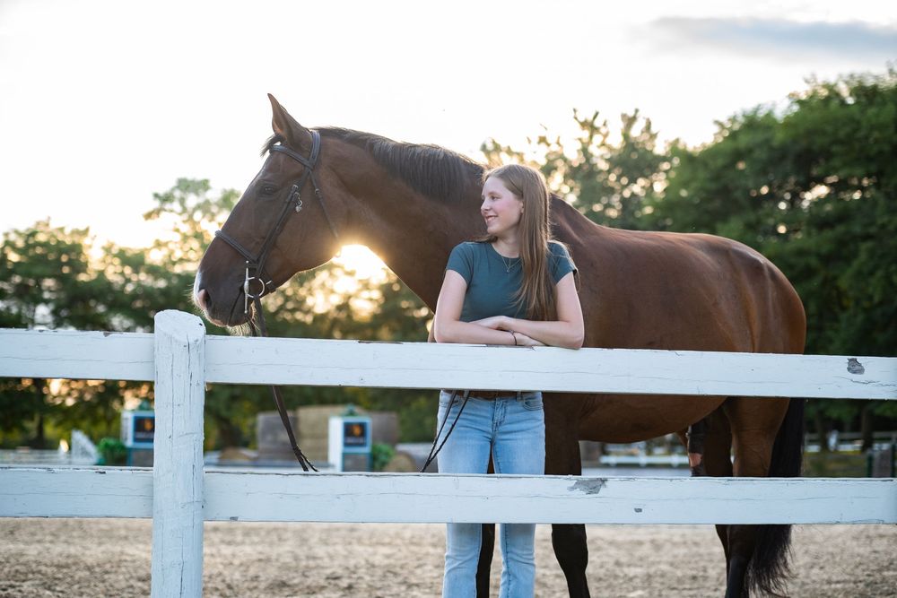 Equestrian leads brown horse along white fenced paddock during sunset training session.