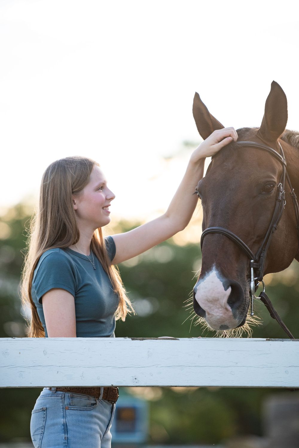 A series of four photos captures tender moments between a woman and her horse beside a white fence at sunset.