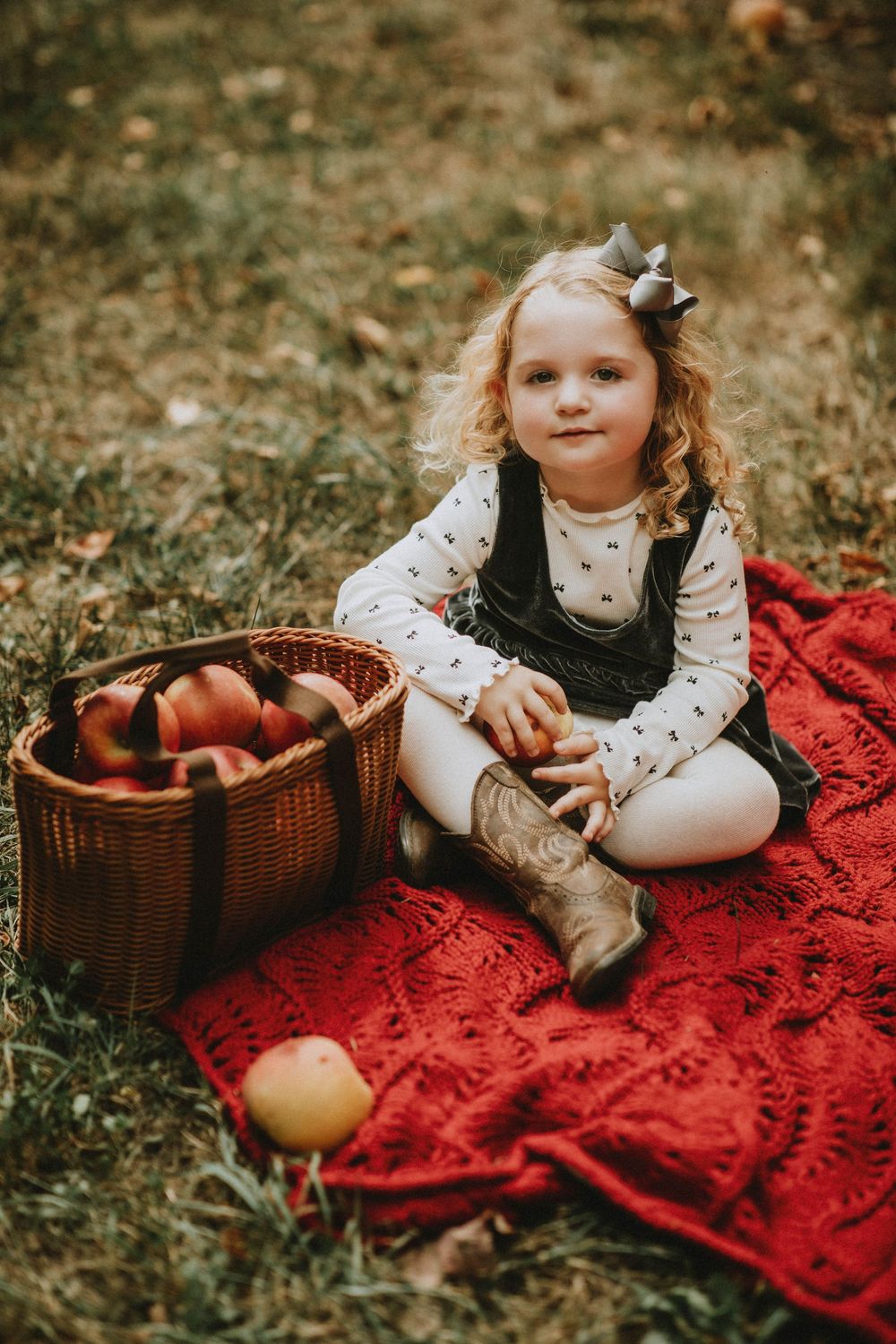 indiana pa photographer, steffnino orchard, homer city pa photographer, apple orchard fall portraits apple minis pittsburgh photographer