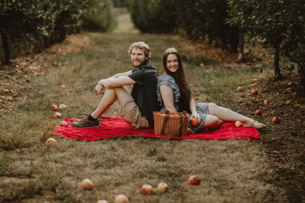A couple sits back-to-back on a red blanket in an orchard with fallen apples scattered on the ground during autumn.