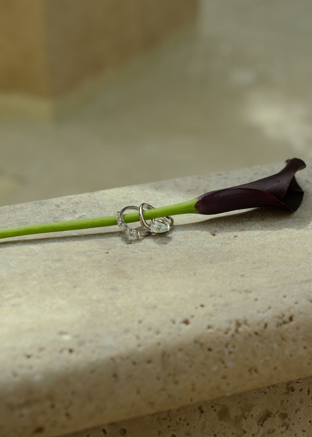 Silver hoop earrings resting on a stone surface beside a dark purple calla lily flower.