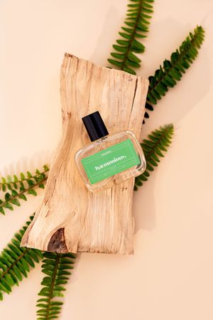 Green product label on wooden bark with fern leaves arranged on beige background in minimal earthy style composition.