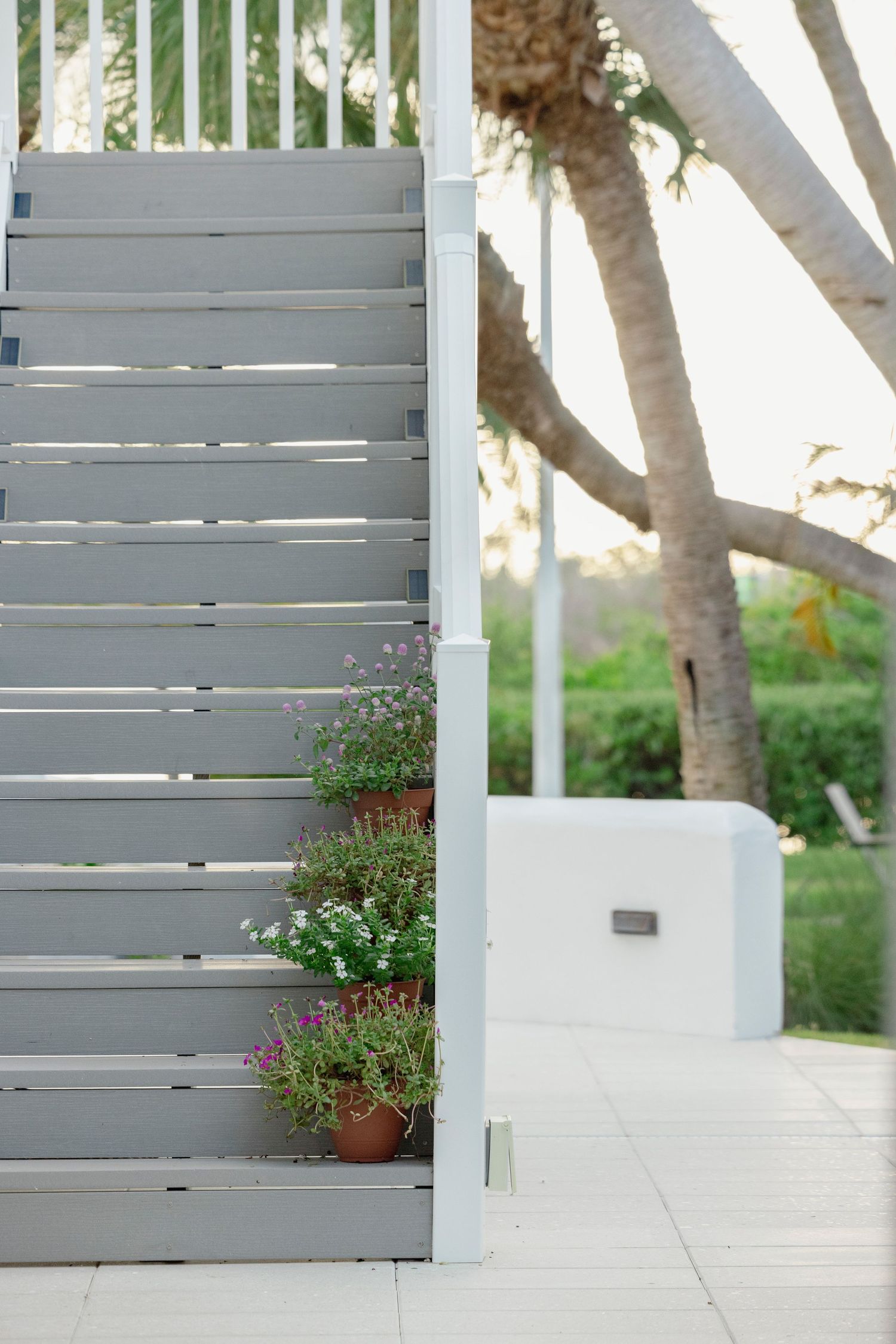 Modern outdoor space with gray slatted privacy fence and potted plants.