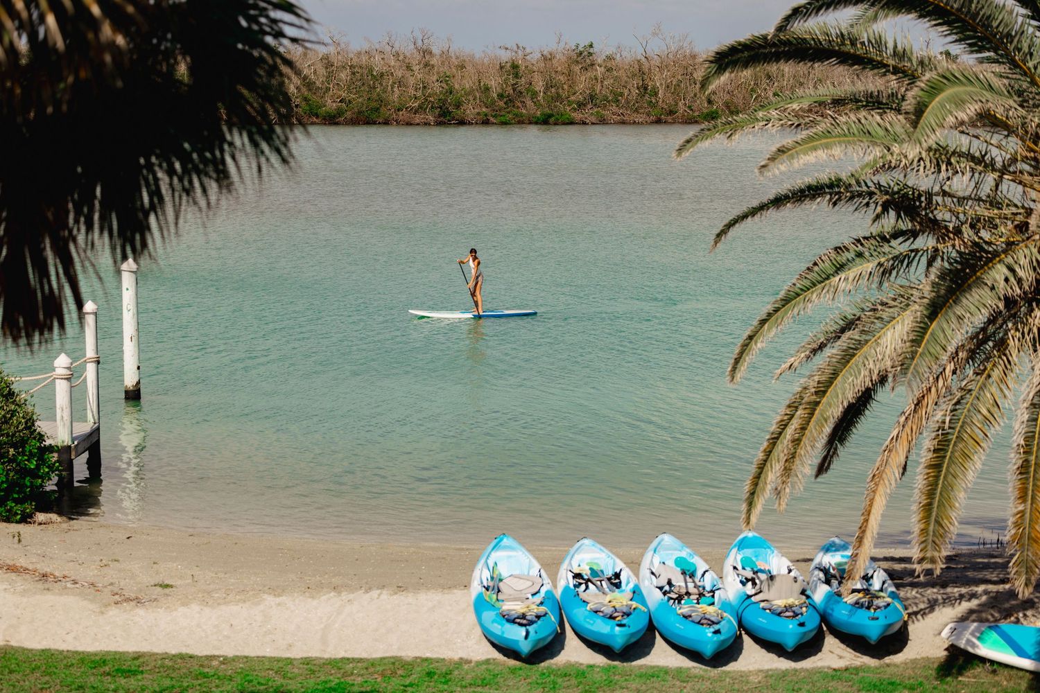 Stand-up paddleboarder glides across turquoise waters near a beach with blue float tubes and palm trees.