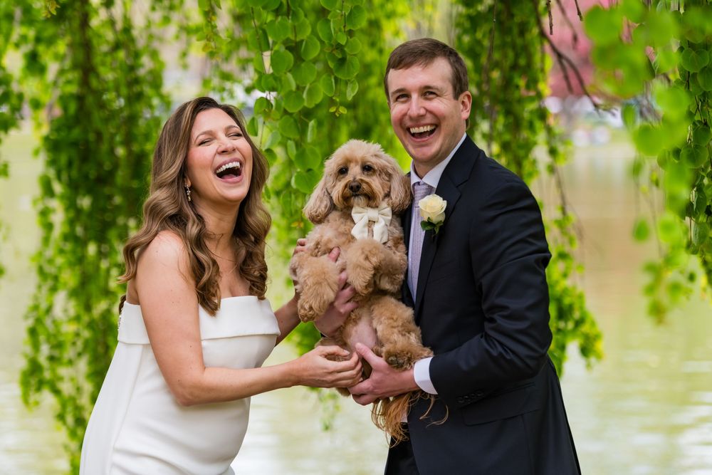 Joyful bride and groom hold fluffy dog under weeping willow tree.