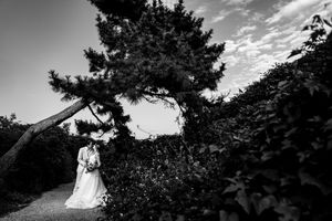 Black and white photo of bride and groom embracing under a dramatic pine tree in a lush garden.