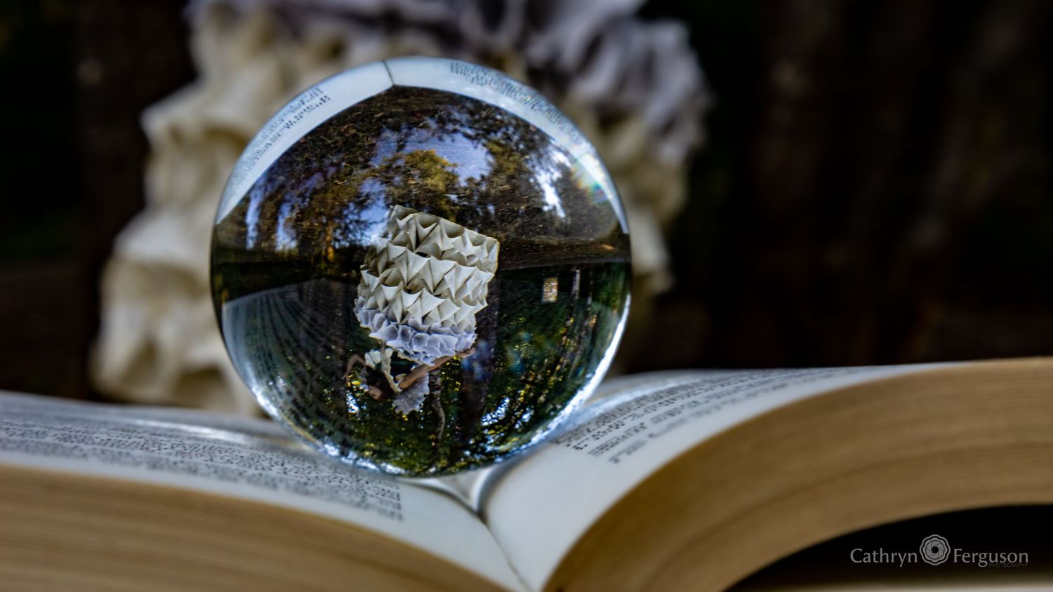 Creative Photography that is striking and tells a story.