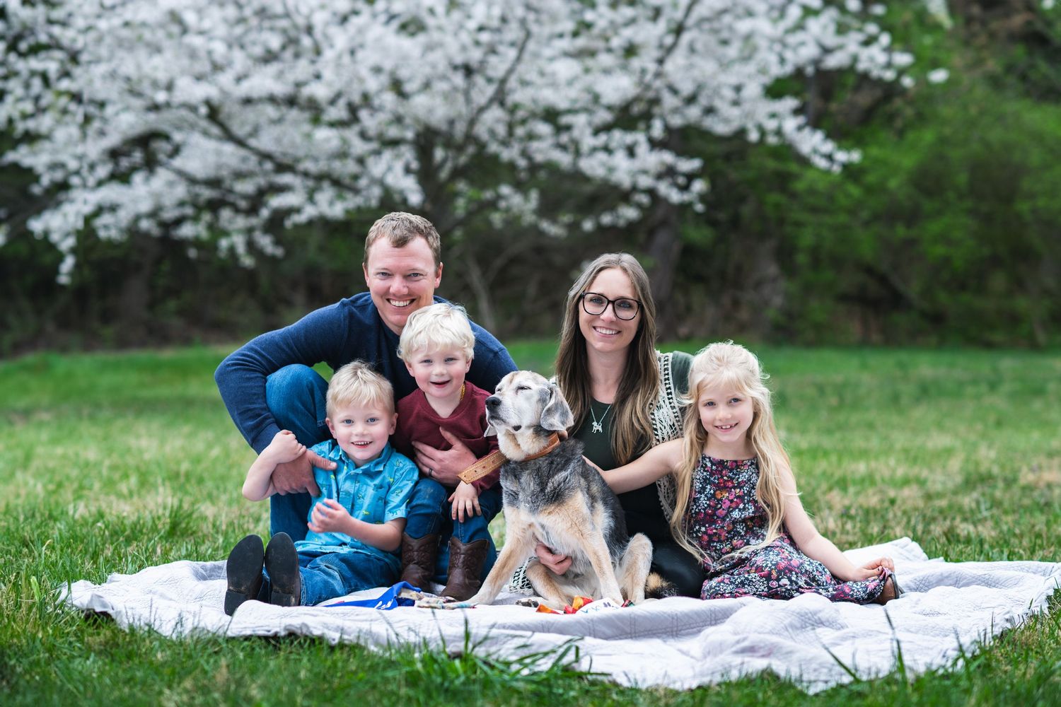 A group sits together on a white blanket under blooming cherry trees during a spring day outdoors.