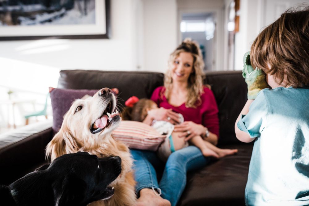 A happy dog sits on a couch with people during a relaxed gathering at home.