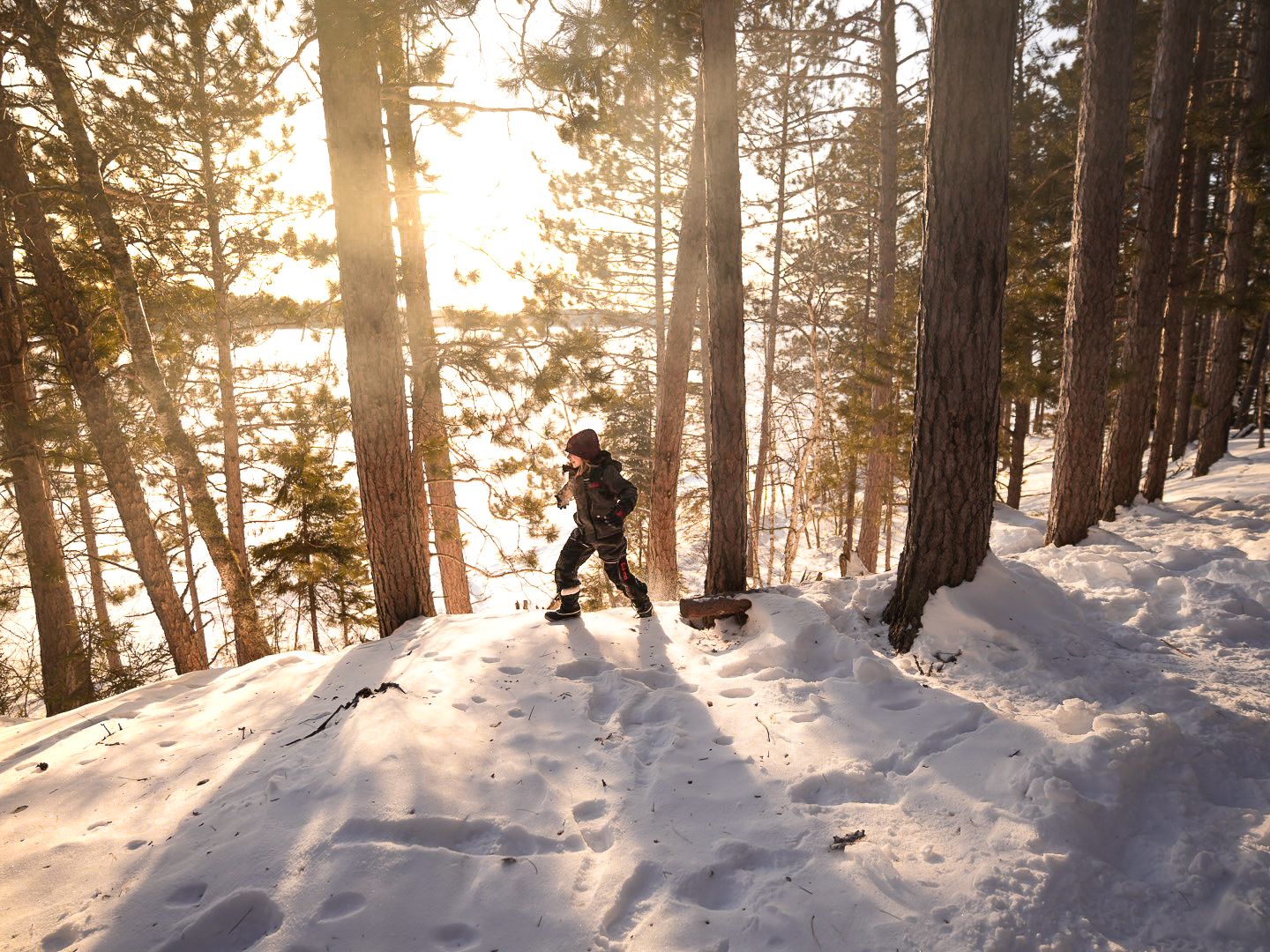 Sunlight streams through snowy forest as people enjoy winter activities.
