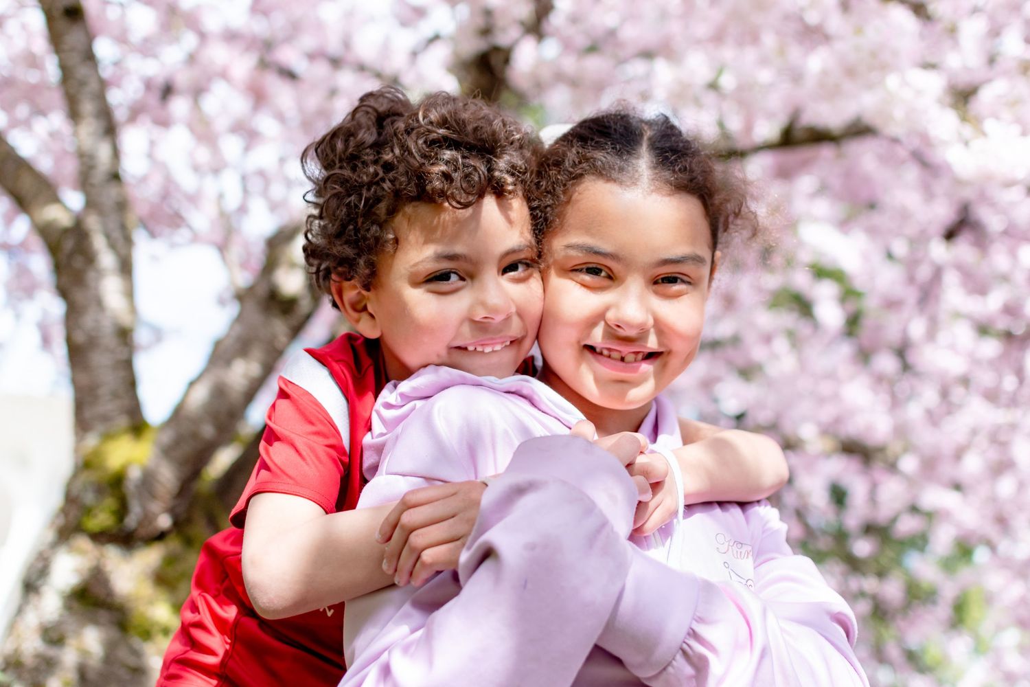 Siblings hugging under cherry blossom trees in Bellevue Downtown Park