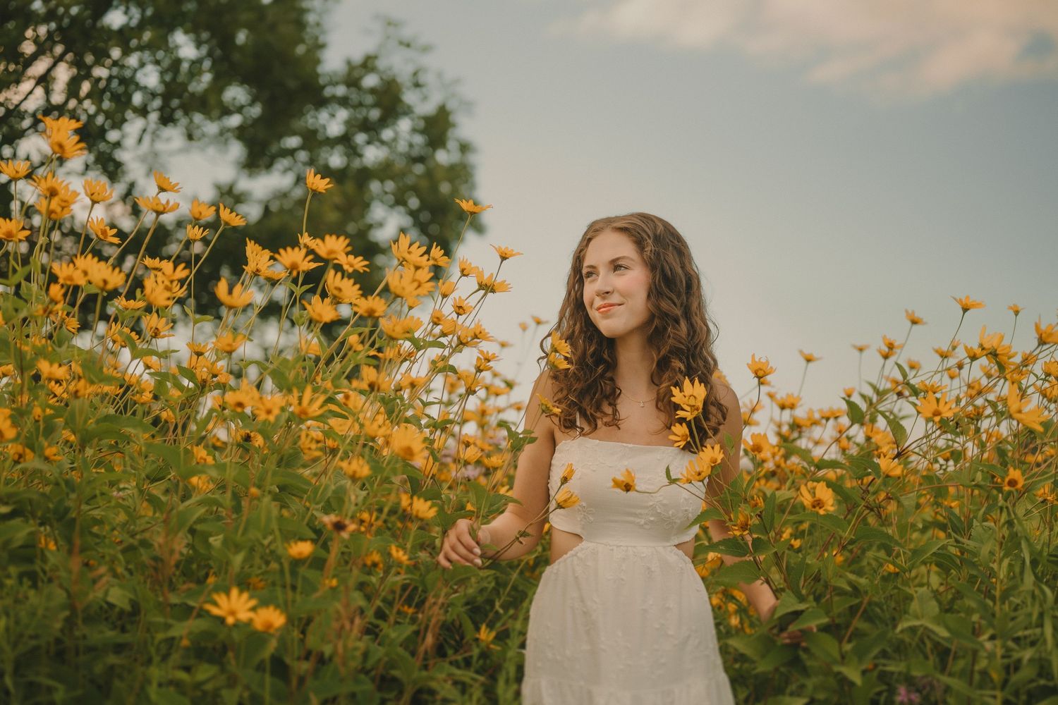 A dreamy portrait in a golden wildflower field at sunset showcases a white summer dress against blooming yellow flowers.