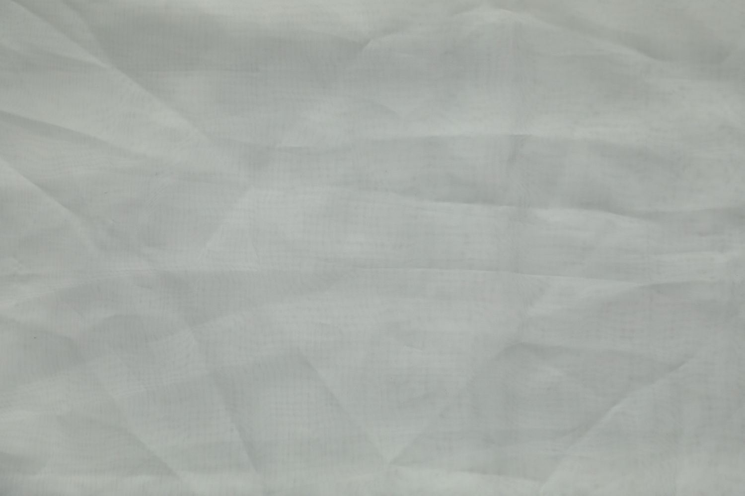 White Backdrop