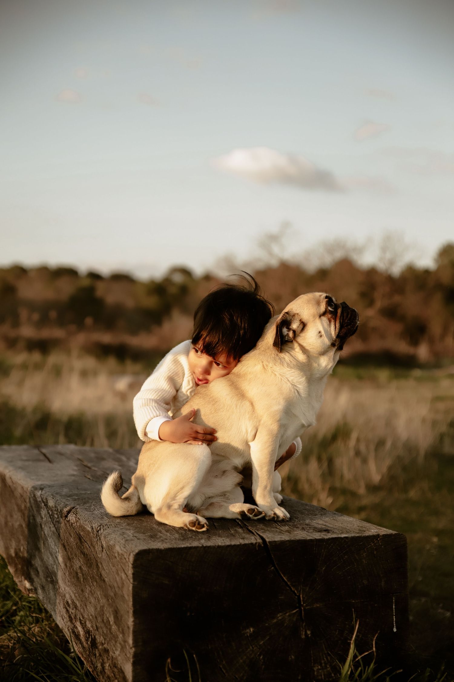 A small pug sits with someone on a concrete block in a rustic outdoor setting during golden hour.