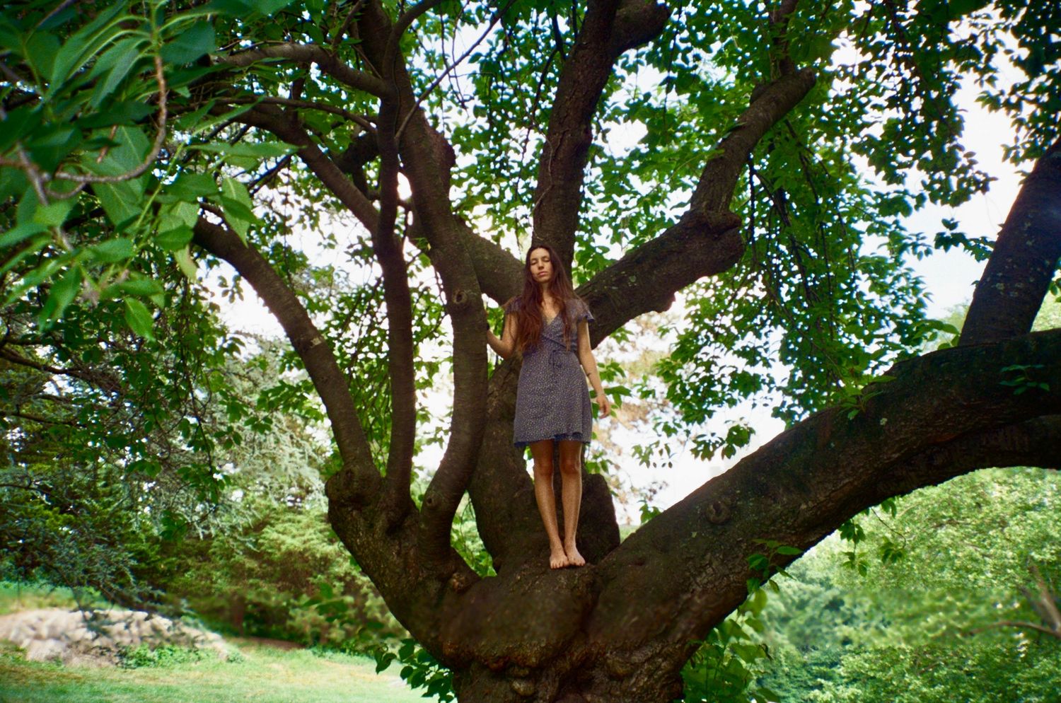 Izya Lebtahi Central Park New York City.