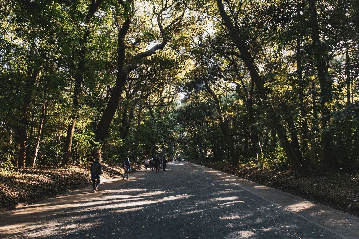Avontuur Seoul + Tokyo - Byjorinapeene