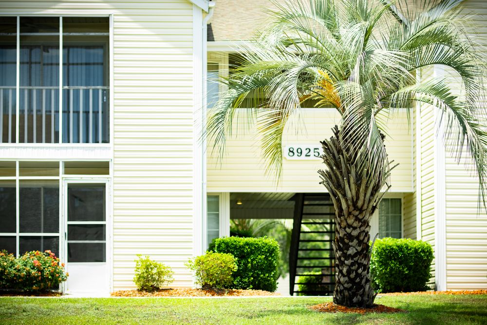 Modern apartment building entrance with a tall palm tree and manicured landscaping.