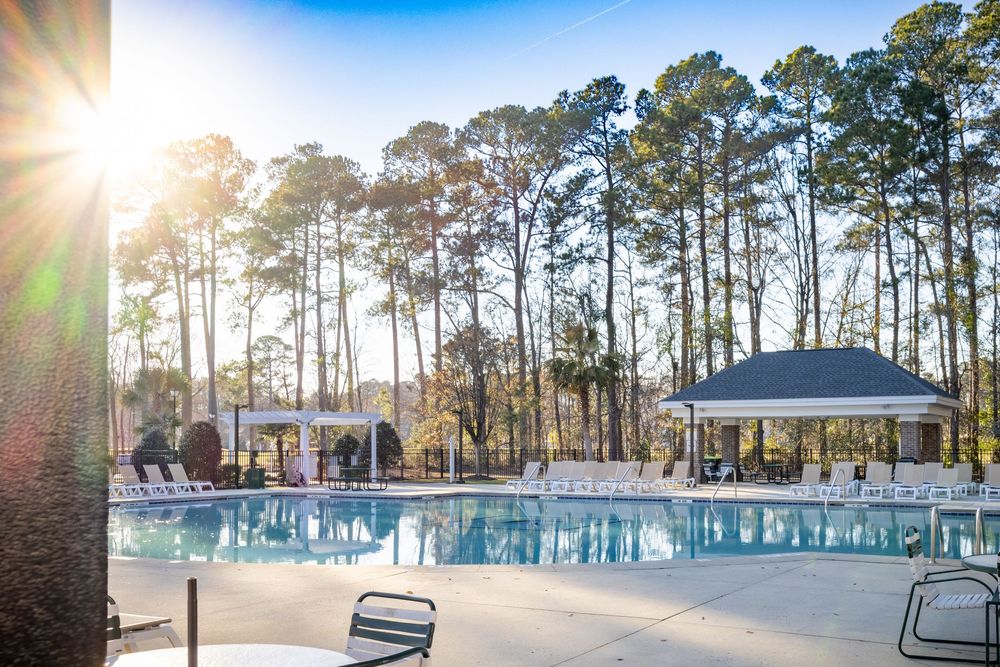 Beautiful swimming pool surrounded by tall pine trees with a sunburst flare and gazebo at sunset.