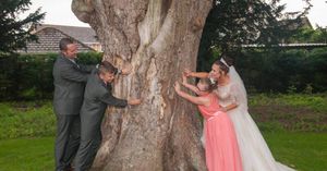 Family Tree Shot.