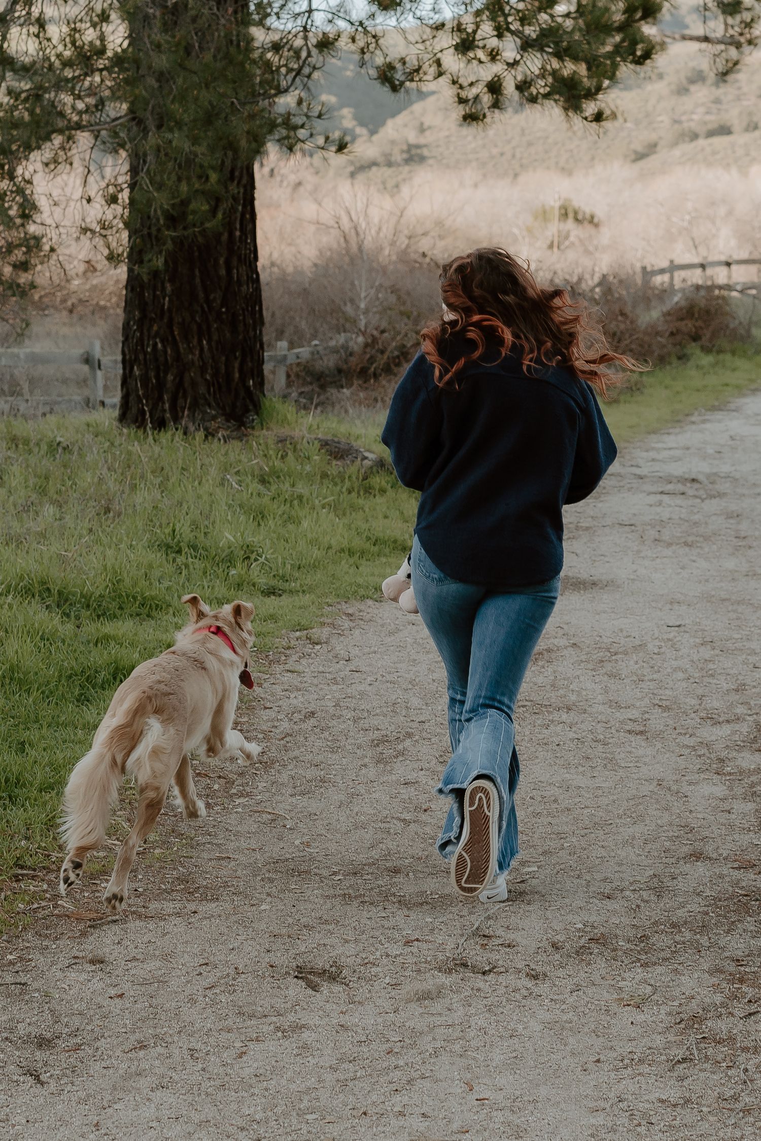 Person in dark sweater running along dirt trail with energetic golden dog jumping beside them on sunny afternoon.