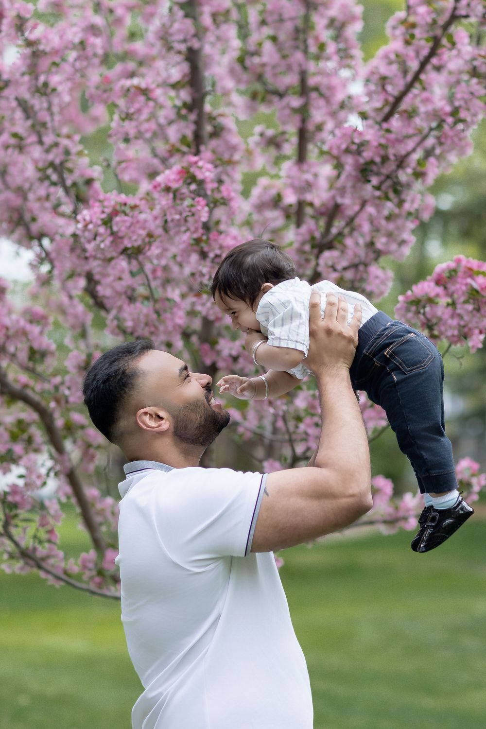 Father lifting baby in the air outdoors near pink cherry blossom tree in spring park.