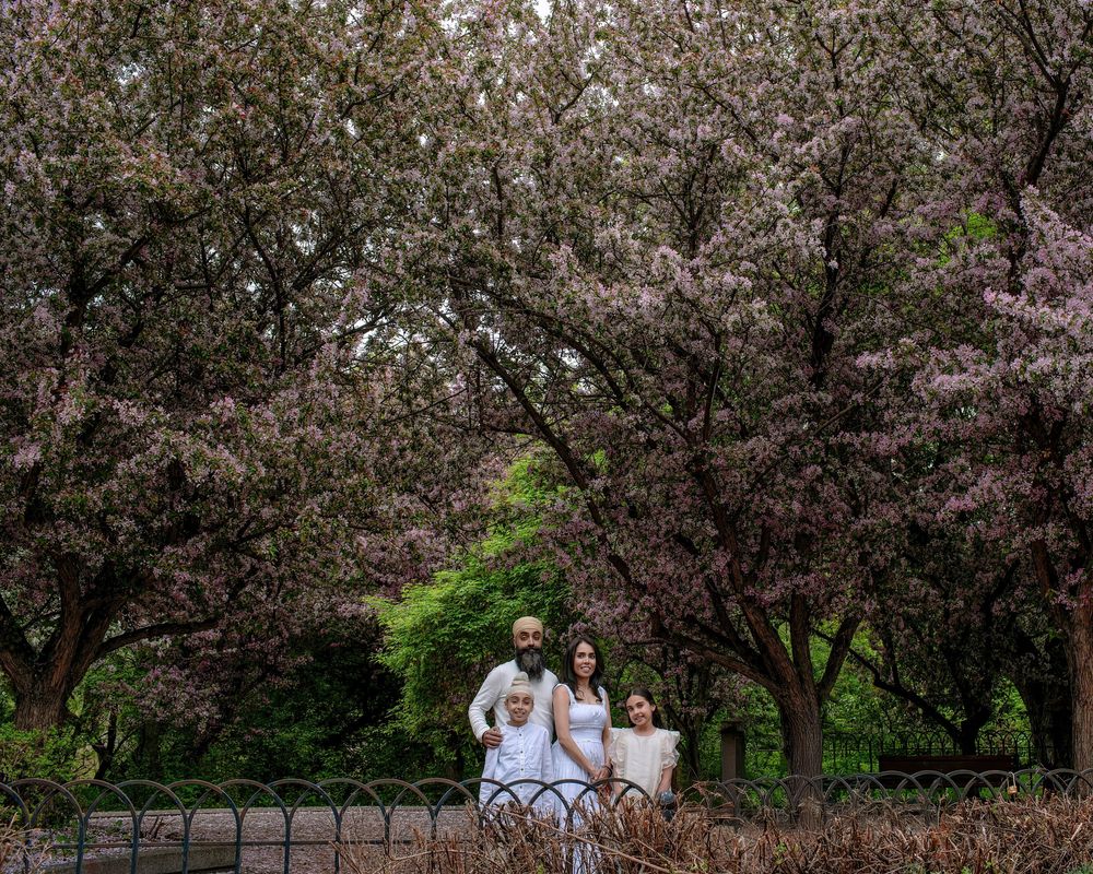 Family of four poses near ornate iron fence surrounded by blooming pink cherry blossom trees in a lush park.