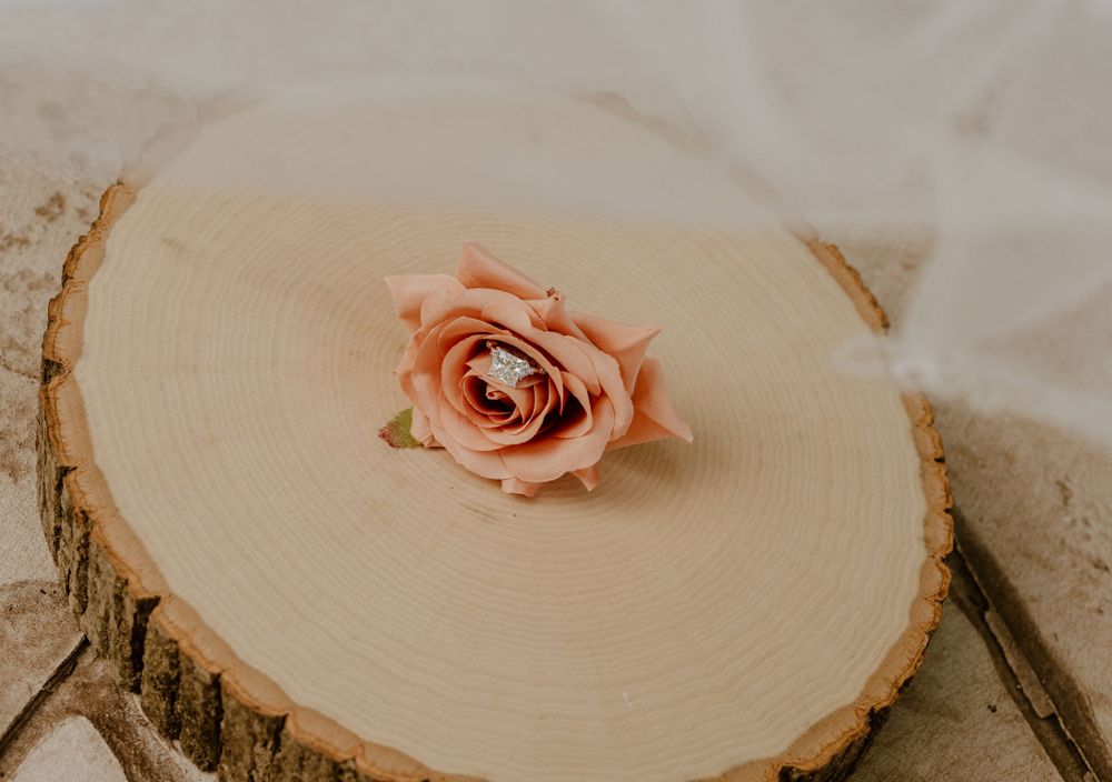 Single peach rose placed on wooden tree slice surface.