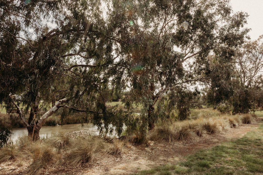werribee photographer