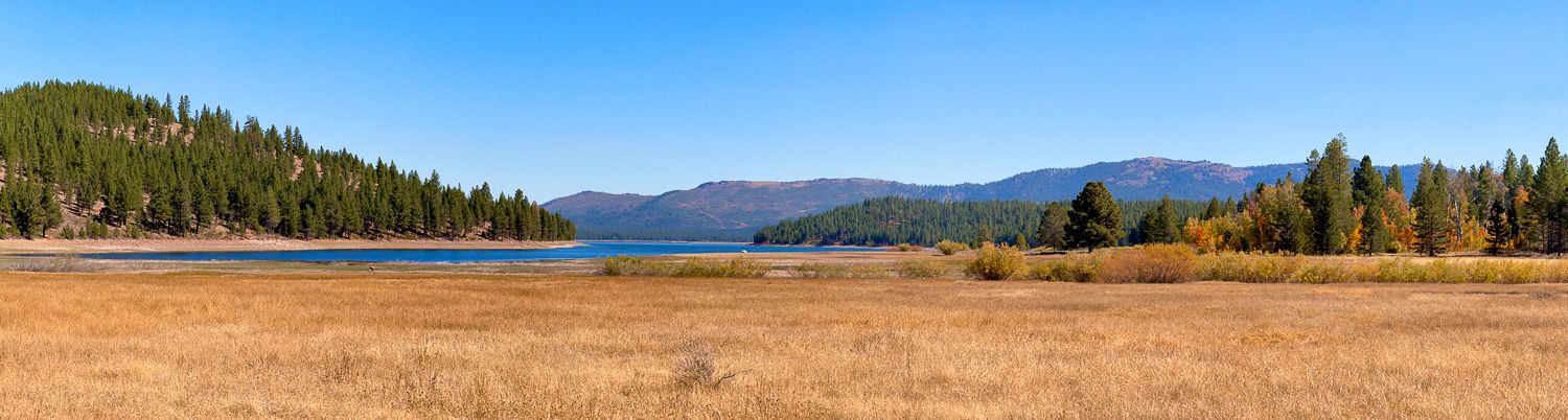 A meadow by Stampede Reservoir with fall color along the Sagehen Trail in Truckee by Cindy Tucey Photography