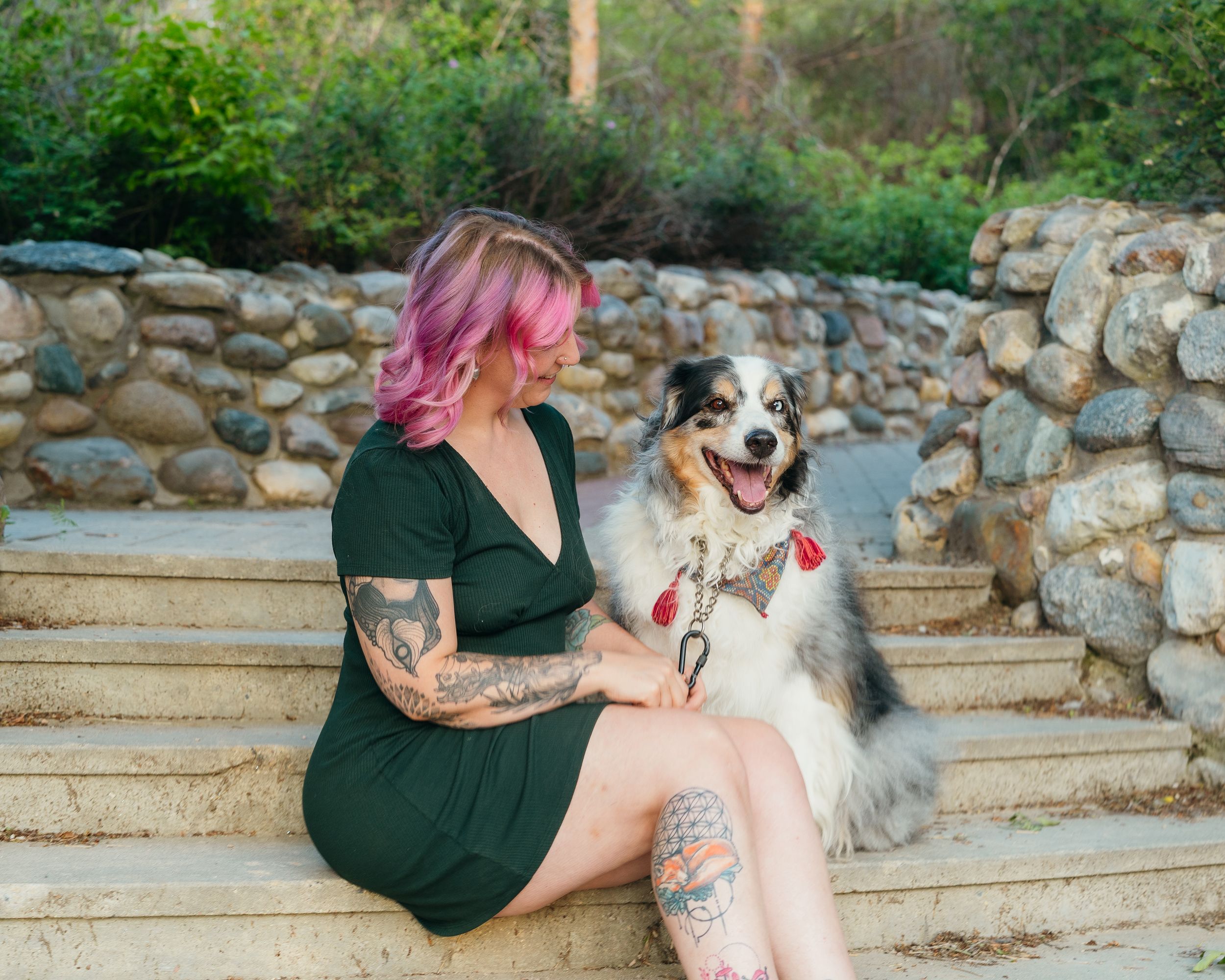 A series of connected photos showing someone sitting on stone steps with a dog in an outdoor setting.