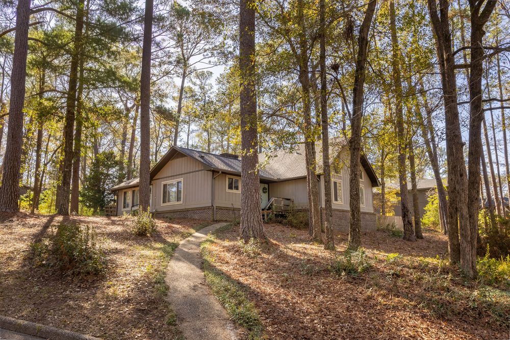 A wooded hillside with tall pine trees and scattered fallen leaves along a dirt path leading to residential homes in Dothan, AL.