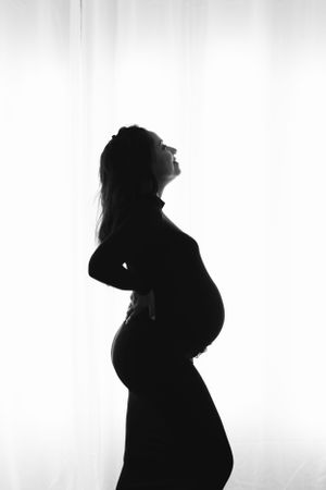 Ritratti di maternità sagomati che mostrano una figura incinta su sfondo controluce bianco.