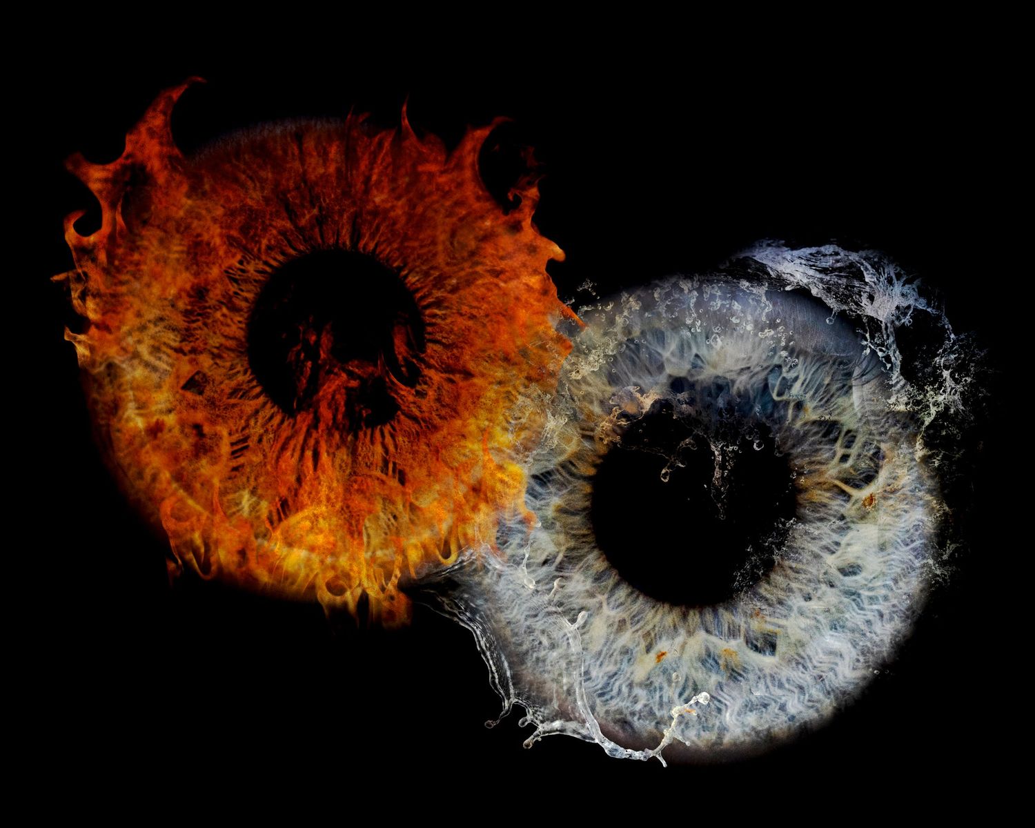 Irises macro photographed and composited with fire and water effects.