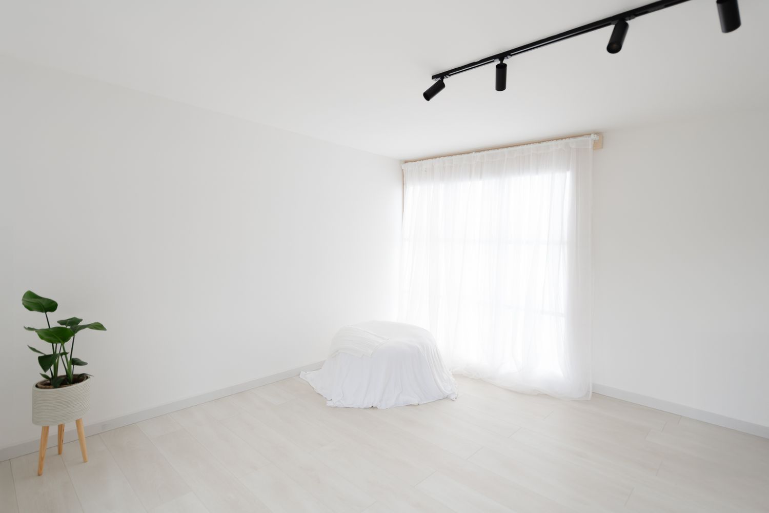 Minimalist white room interior with track lighting, sheer curtains, potted plant on stand, and circular white object on floor.