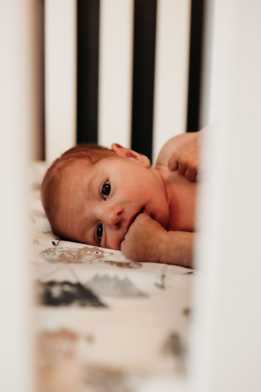 Close-up view through white crib slats showing a baby resting on patterned bedding.