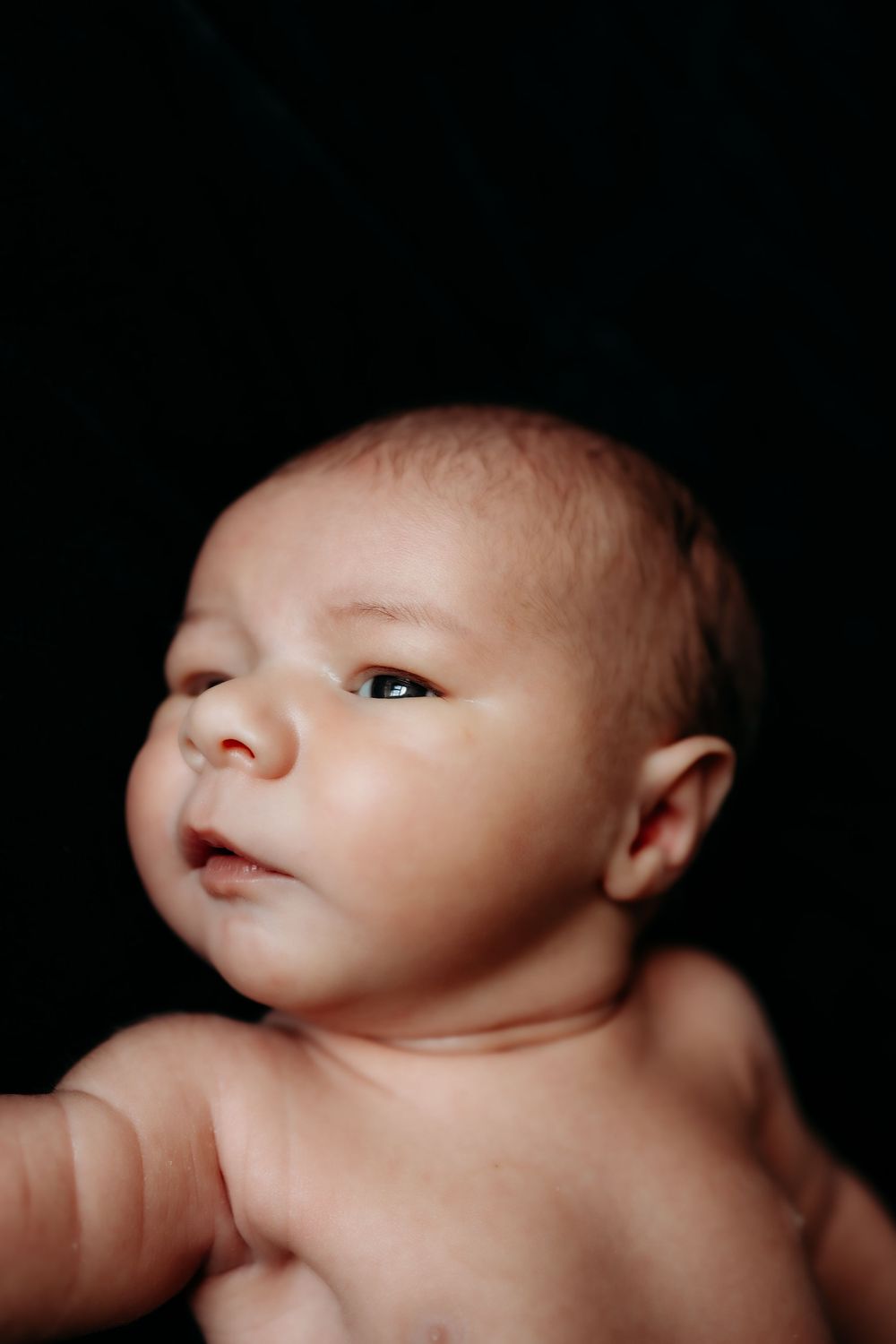 Close-up portrait of a newborn baby against a dark background captured by Morris County lifestyle newborn photographer