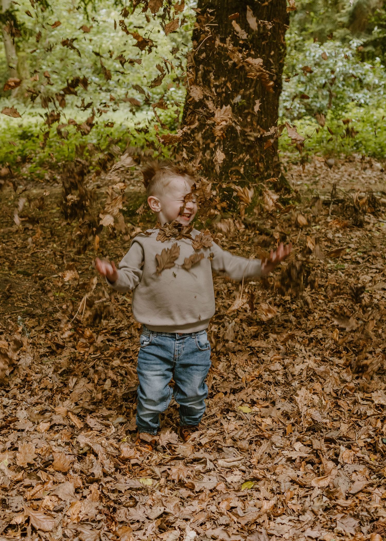 Wortley Hall - Child in gray sweater and jeans standing among fallen autumn leaves.