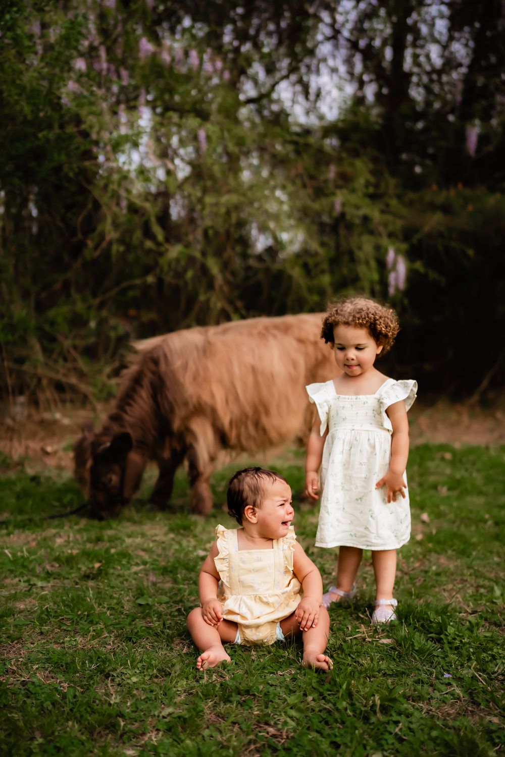 Two young children in light dresses stand in a grassy field with a brown horse grazing in the background.