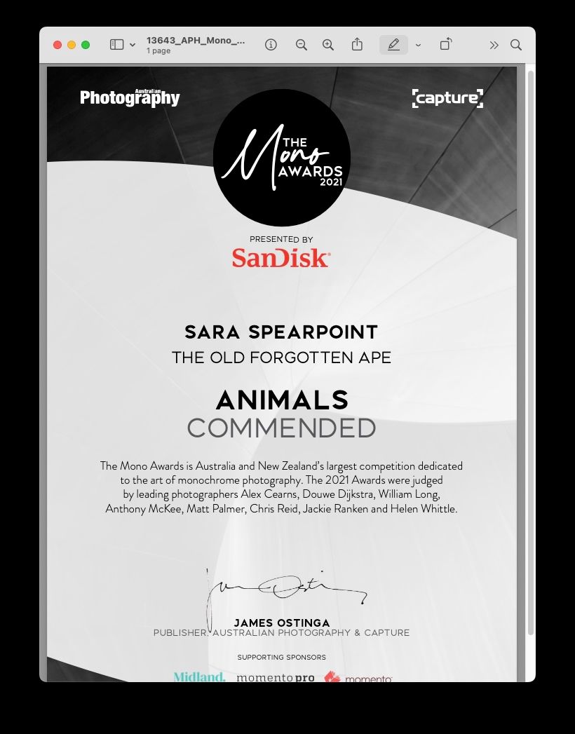 Mono Awards certificate for Animals category commendation sponsored by SanDisk.