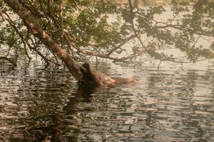 Ritratto ambientato a Cogliate – Dreaming. Ritratti intimi e ispirati, tra luce e atmosfera. Un’esperienza visiva autentica, la tua luce