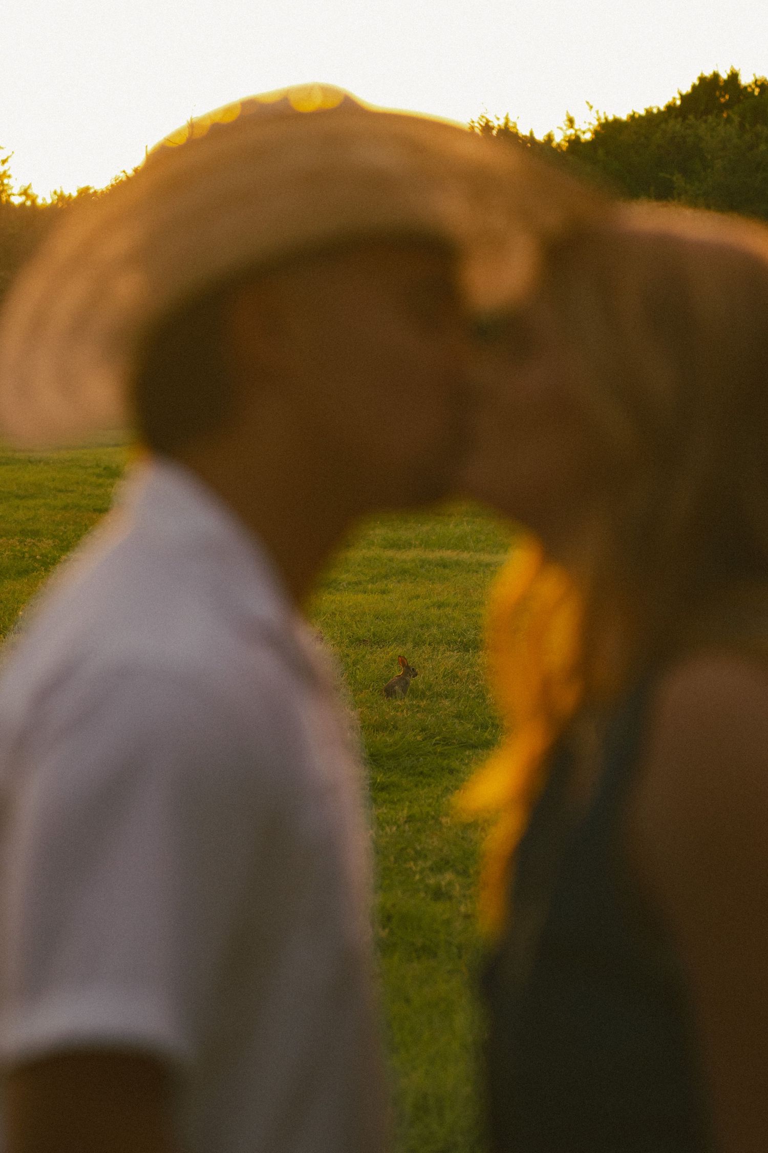 Intimate silhouette of two people in conversation during sunset.