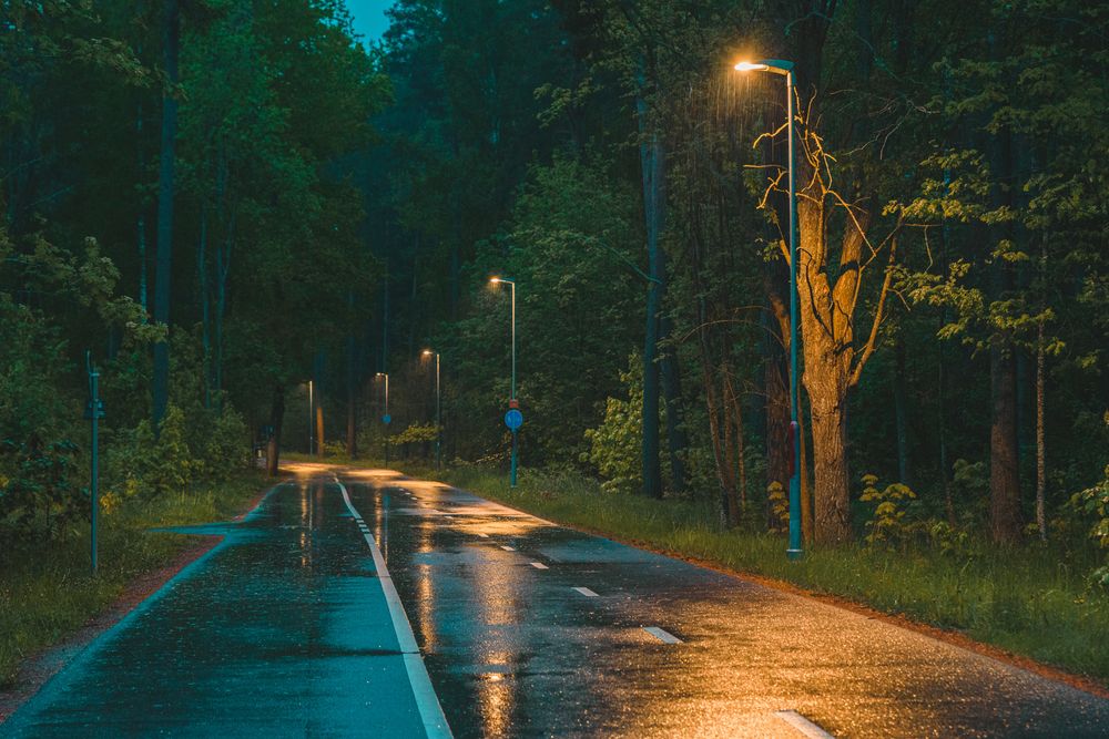 Regn i Rydsskogen, Linköping