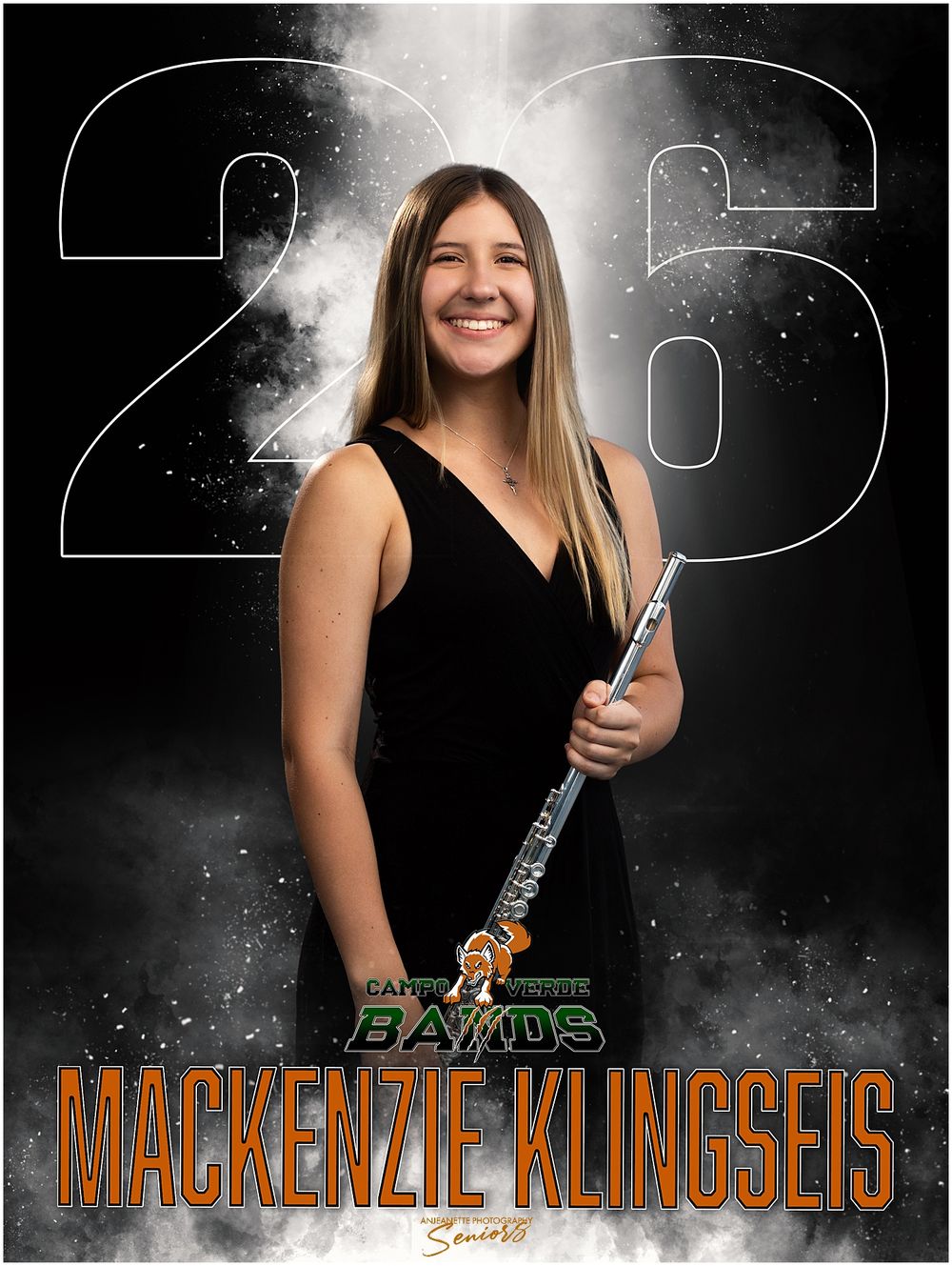 Banners Marching Band top 10 best group photos Pictures Phoenix Anjeanette Photography senior AZMBA WGAZ AZ  https://www.phoenixteamphotogra