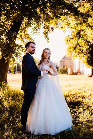 Wedding couple poses under golden sunlit trees during sunset portrait session.