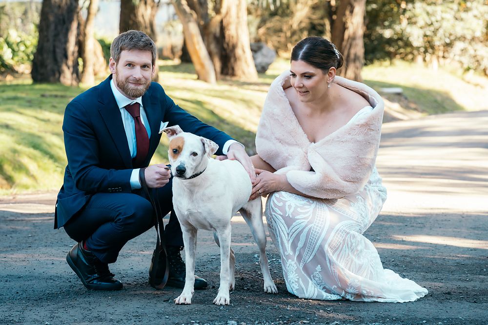 A couple in wedding attire sits on a path outdoors with their white dog in a sunny park setting.