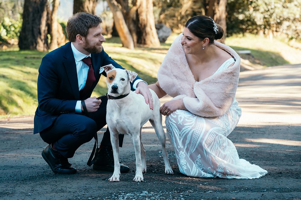 Newlywed couple kneels down to pet their white dog on a park path during outdoor wedding photos.